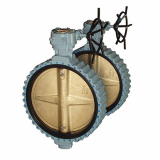 Lug Type Concentric Butterfly Valve